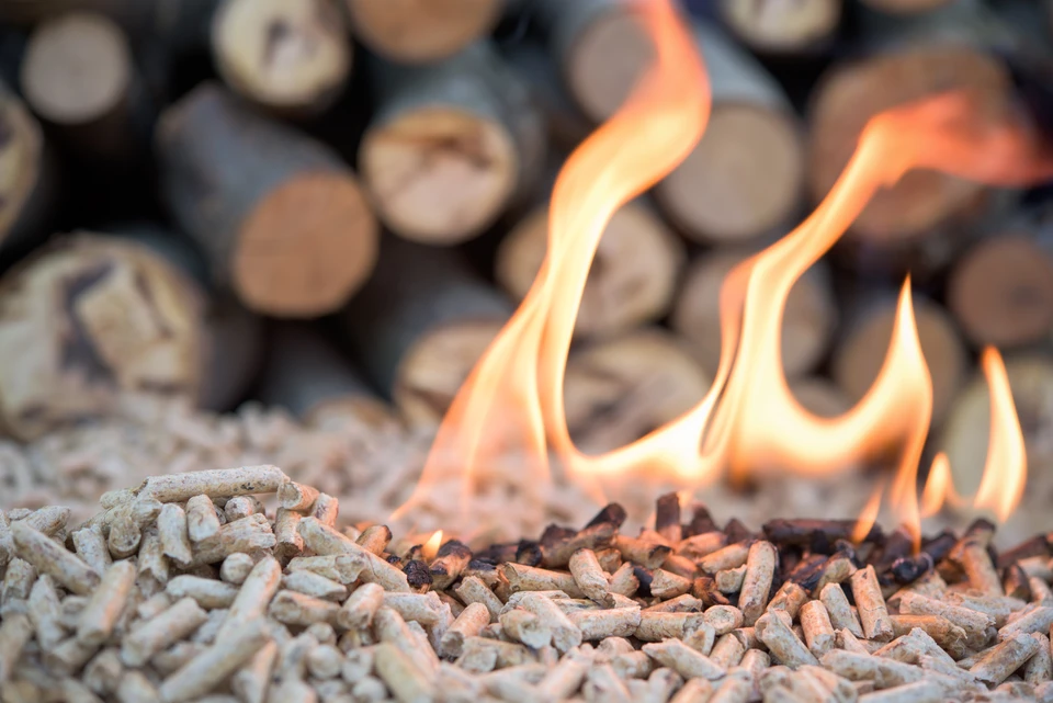 Feu de granulés de bois en combustion avec flammes oranges vives, pellets cylindriques beiges non consumés au premier plan